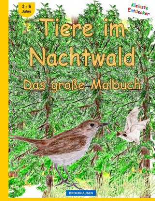 Carte BROCKHAUSEN - Tiere im Nachtwald - Das große Malbuch Dortje Golldack
