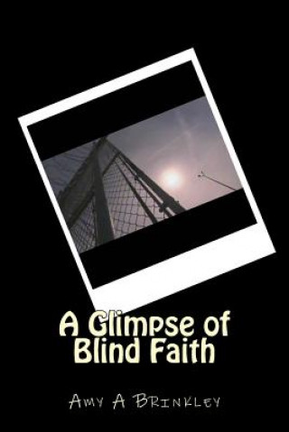 Buch A Glimpse of Blind Faith: Experience Amy a Brinkley