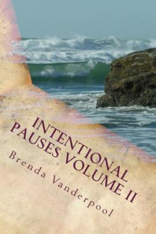 Kniha Intentional Pauses Volume II: Growth Through Reflection Brenda L Vanderpool