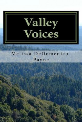 Kniha Valley Voices: Poetry that Speaks to the Soul Mrs Melissa Ann Dedomenico-Payne