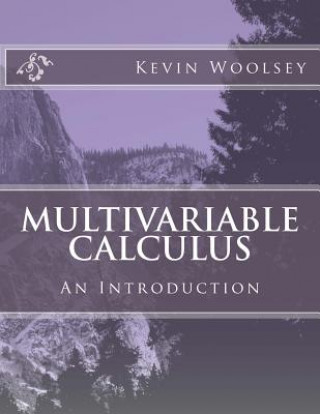 Книга Multivariable Calculus Kevin Woolsey