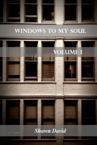 Kniha Windows To My Soul - Volume 1 Shawn David