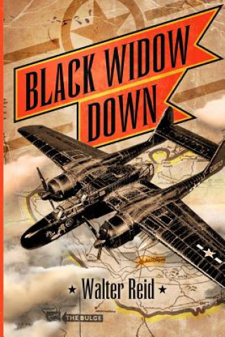 Livre Black Widow Down Walter Reid