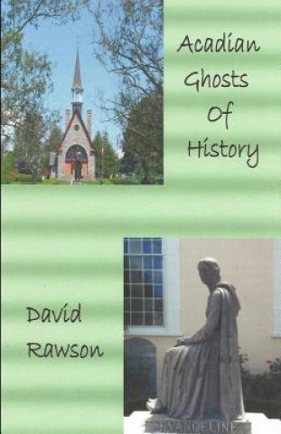 Kniha Acadian Ghosts of History: A Sequel to Dixie City Tales David Rawson