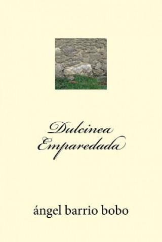 Knjiga Dulcinea Emparedada Angel Barrio Bobo