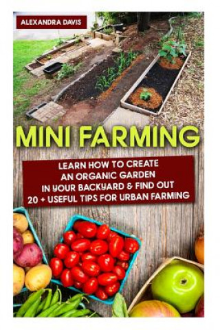 Könyv Mini Farming: Learn How to Create An Organic Garden in Your Backyard & Find Out 20 + Useful Tips For Urban Farming: (Mini Farm, Orga Alexandra Davis