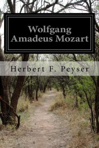 Knjiga Wolfgang Amadeus Mozart Herbert F Peyser