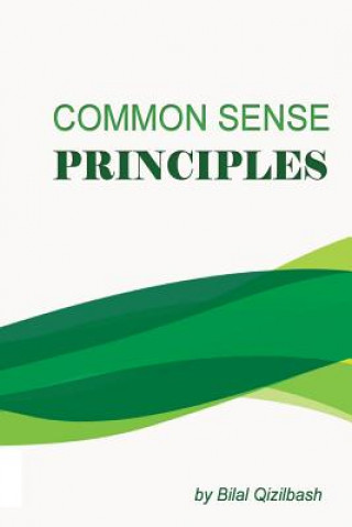 Kniha Common Sense Principles Bilal Qizilbash
