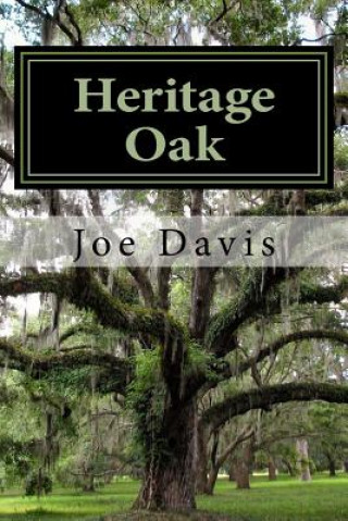 Buch Heritage Oak: Faith, Elder Abuse, Murder Joe Davis