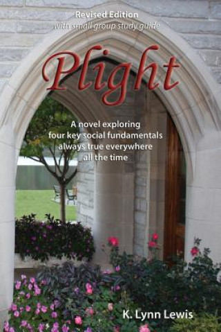 Knjiga Plight, Revised Edition with small group study guide Dr K Lynn Lewis