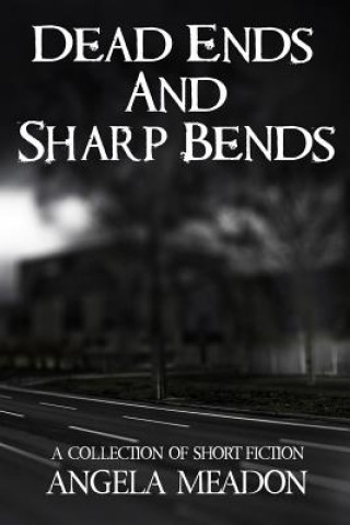Könyv Dead Ends and Sharp Bends: A Collection of Short Fiction Angela Meadon
