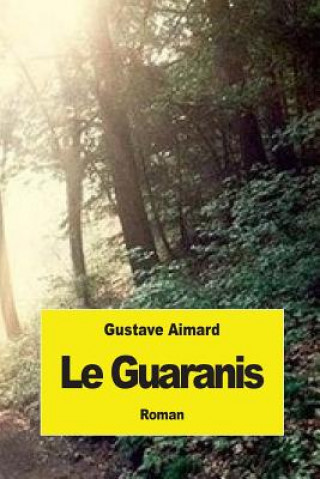 Buch Le Guaranis Gustave Aimard