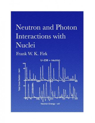 Könyv Neutron and Photon Interactions with Nuclei Frank W K Firk