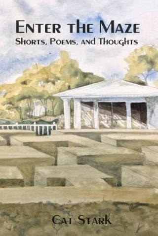 Buch Enter the Maze: Shorts, Poems and Thoughts Cat Stark