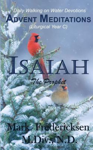 Kniha Advent Meditations (Liturgical Year C): Isaiah, the Prophet Mark Fredericksen