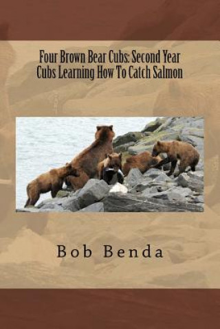 Carte Four Brown Bear Cubs: Second Year Cubs Learning How To Catch Salmon Bob Benda