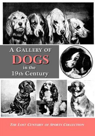 Kniha A Gallery of Dogs in the 19th Century: 350 Photographs & Illustrations from 50 Books & Magazines Published from 1858 to 1898 Lost Century of Sports Collection