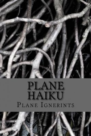 Knjiga Plane Haiku Plane Ignerints