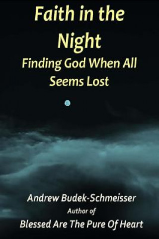 Kniha Faith In The Night: Finding God When All Seems Lost Andrew Budek-Schmeiser