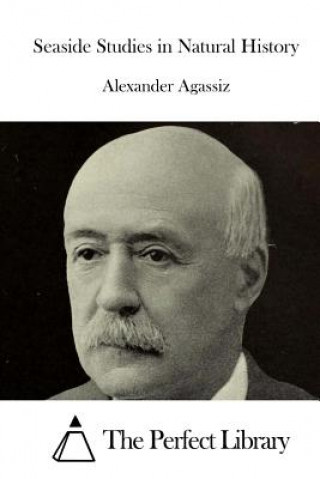 Książka Seaside Studies in Natural History Alexander Agassiz