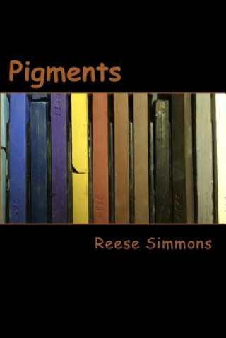 Boek Pigments Reese Simmons