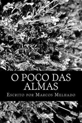 Kniha O Poço das Almas: Livro 1 MR Marcos Antonio Melhado Araujo