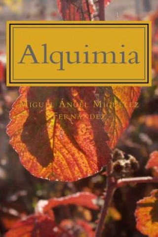 Kniha Alquimia Miguel Angel Miguelez Fernandez