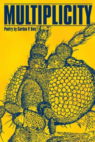 Knjiga Multiplicity: Poetry by Gordon P. Bois Gordon P Bois