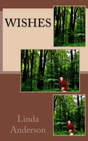 Buch Wishes Linda S Anderson