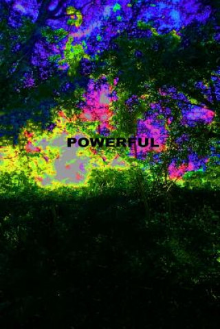 Knjiga Powerful Lindsey Hannah Kidwell