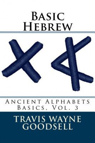 Kniha Basic Hebrew Travis Wayne Goodsell