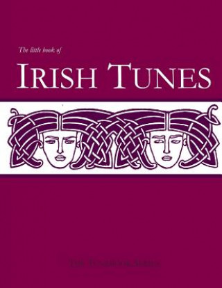 Kniha The Little Book of Irish Tunes Stephen Ducke