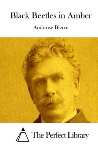 Kniha Black Beetles in Amber Ambrose Bierce