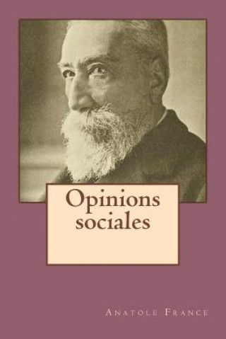 Könyv Opinions sociales Anatole France