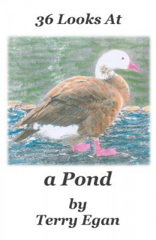 Книга 36 Looks At a Pond Terry Egan