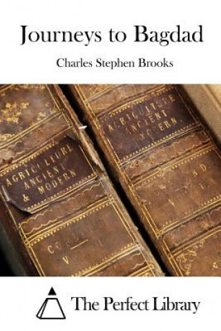 Kniha Journeys to Bagdad Charles Stephen Brooks