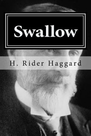 Kniha Swallow H Rider Haggard