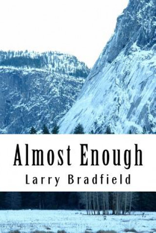 Книга Almost Enough MR Larry G Bradfield