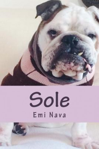 Book Sole Emi Nava