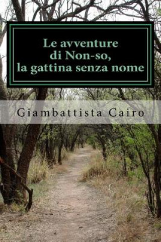 Könyv Le avventure di Non-so, la gattina senza nome Giambattista Cairo