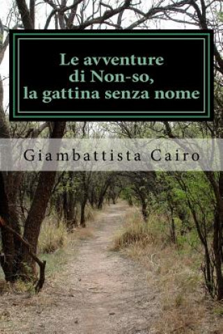 Kniha Le avventure di Non-so, la gattina senza nome Giambattista Cairo