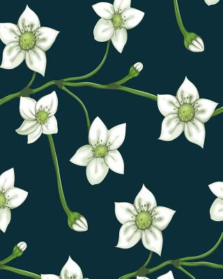 Knjiga Notes Creative Coloring Books for Adults