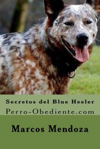 Kniha Secretos del Blue Heeler: Perro-Obediente.com Marcos Mendoza