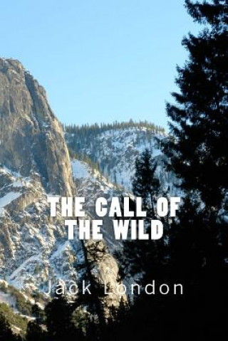 Kniha The Call of the Wild (Richard Foster Classics) Jack London