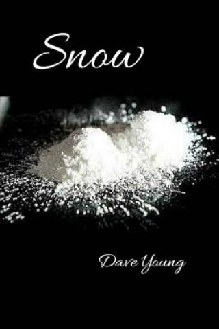 Buch Snow Dave Young