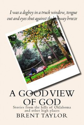 Kniha A Good View of God: Stories from the hills of Oklahoma and other high places Brent Ray Taylor