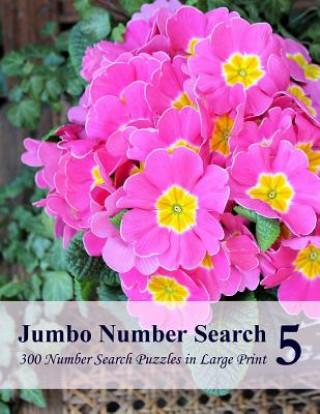 Kniha Jumbo Number Search 5: 300 Number Search Puzzles in Large Print Puzzlefast