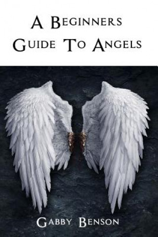 Kniha Beginners Guide to Angels Gabby Benson