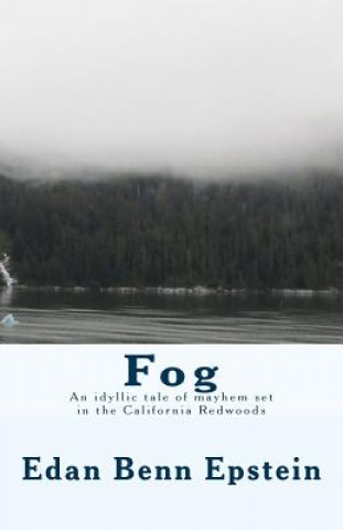 Book Fog Edan Benn Epstein