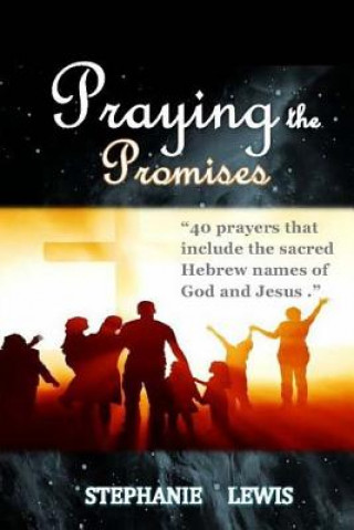 Buch Praying the Promises Stephanie Lewis
